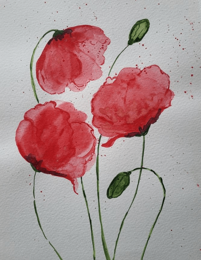 Les coquelicots 