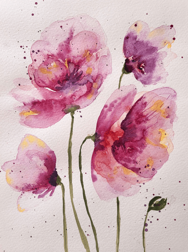 Les coquelicots violets 