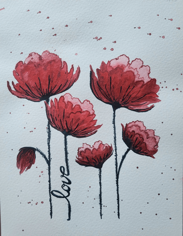 Les jolis coquelicots