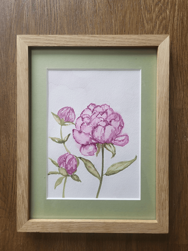 Les jolies pivoines 